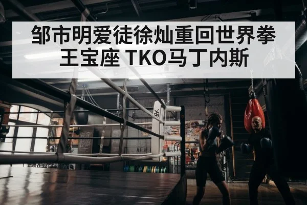 boxer training